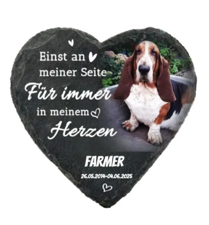 Image from Farmer