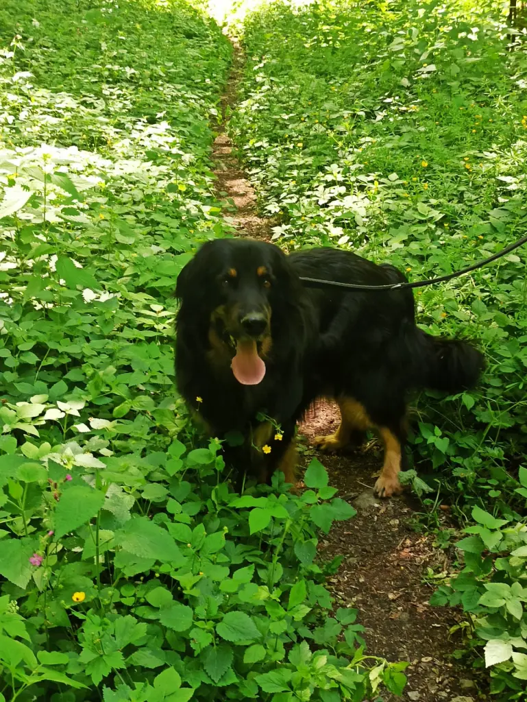 Bild von Bjarne