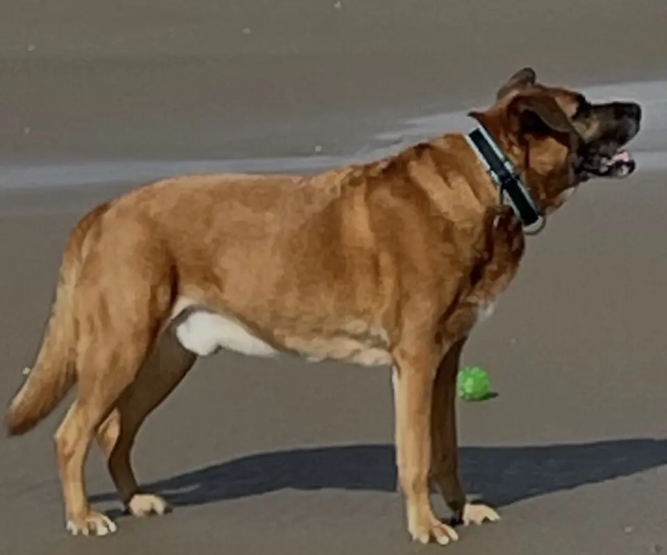 Lennart am Strand