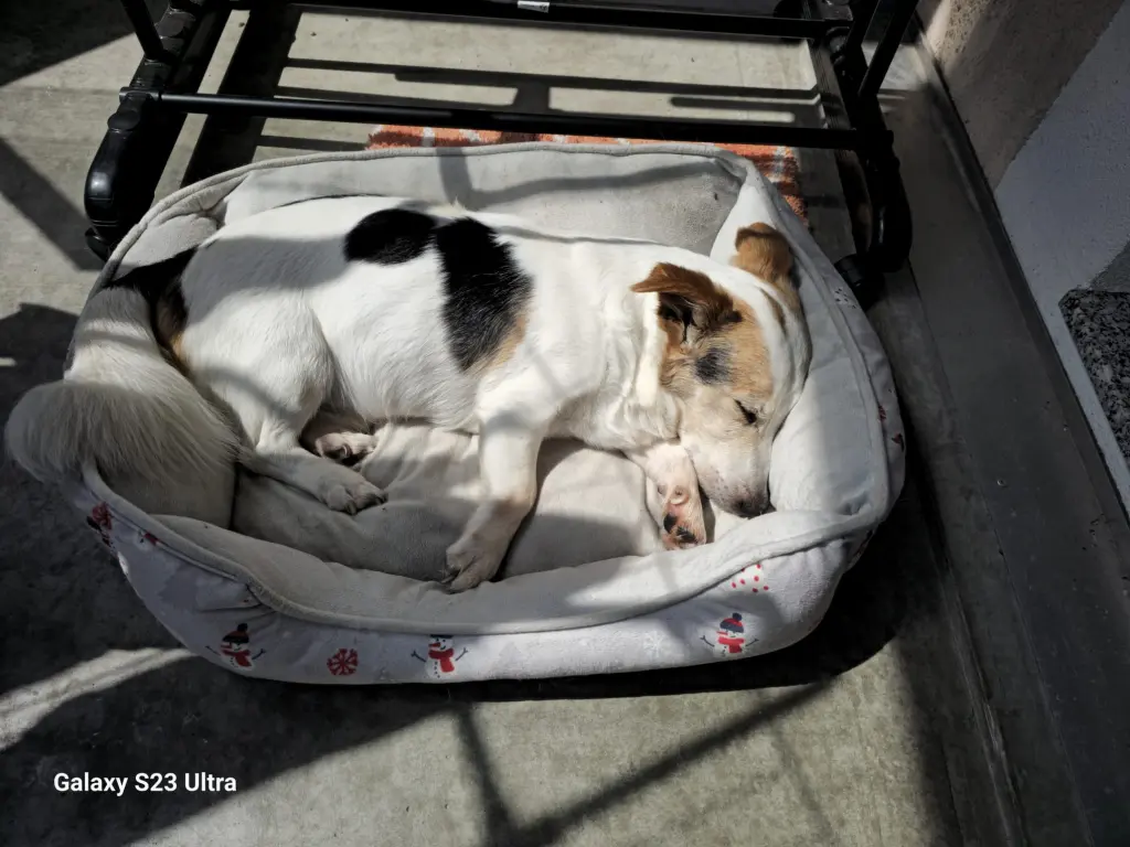 Image from Milow