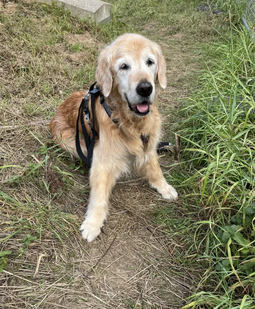 Picasso ❤️ 
mit 16 Jahre