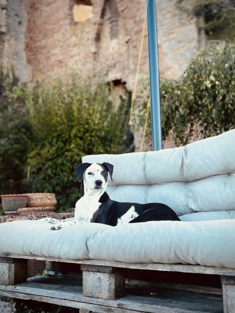 Bild von Sally