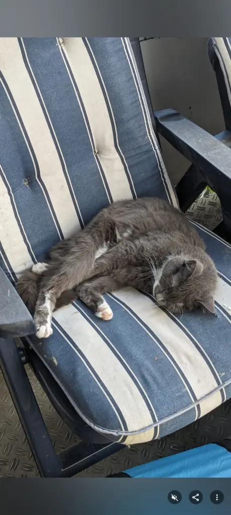 Condolence image of Sabrina