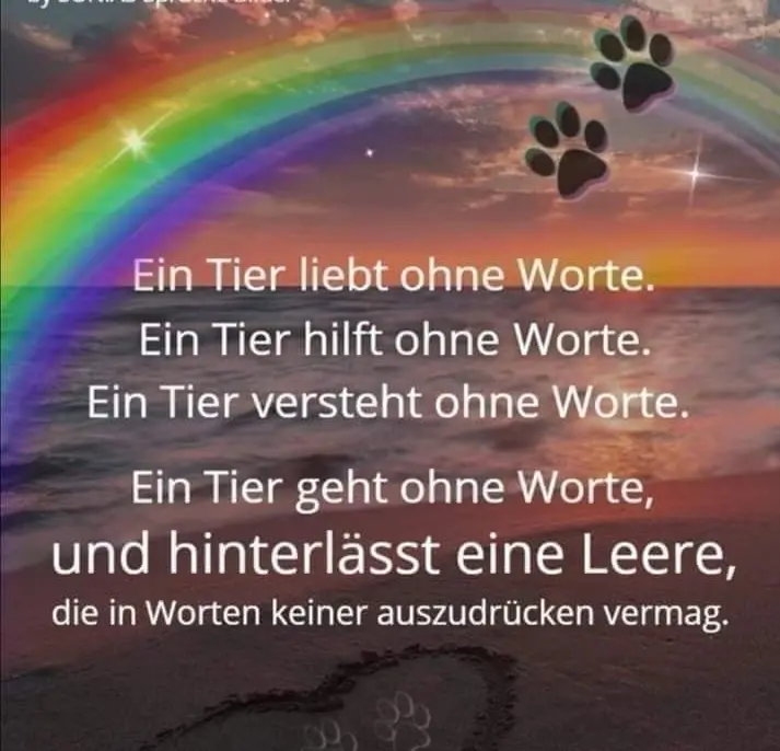 Condolence image of Sabine mit Otis&Ruffy im ♥️