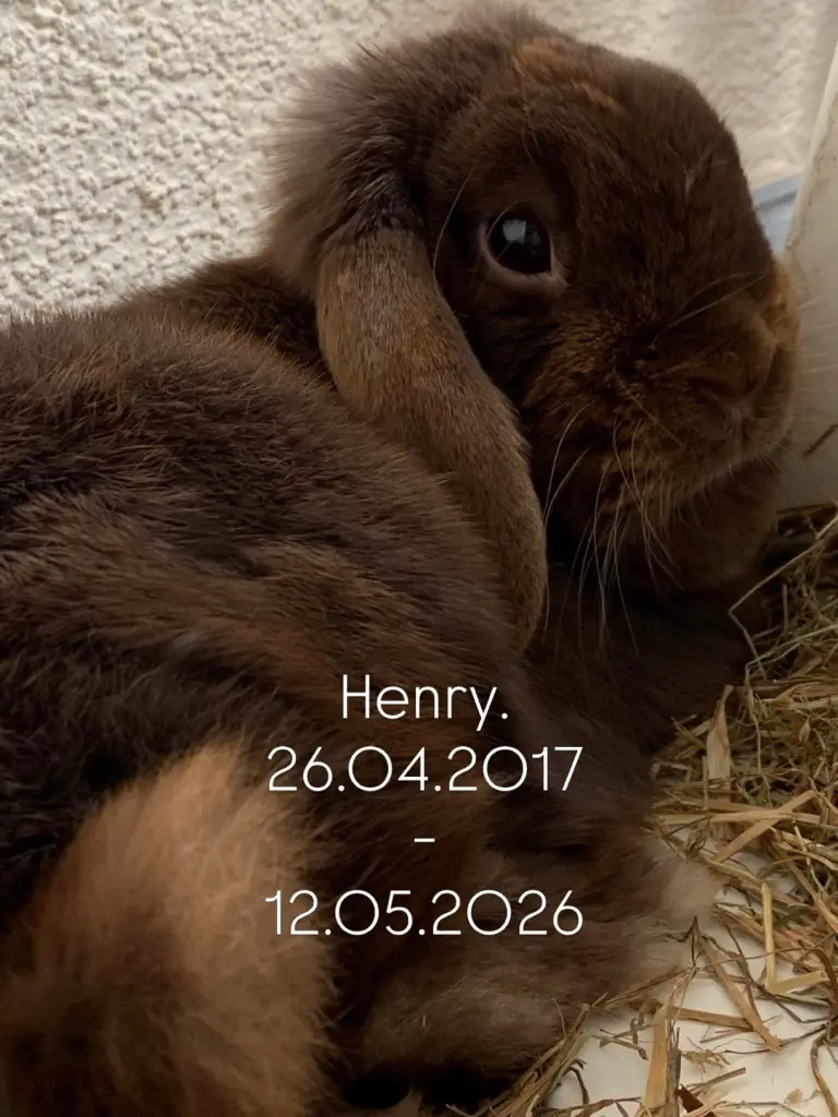 Image from Henry