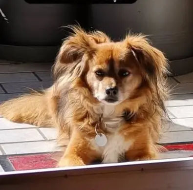 Bild von Charly