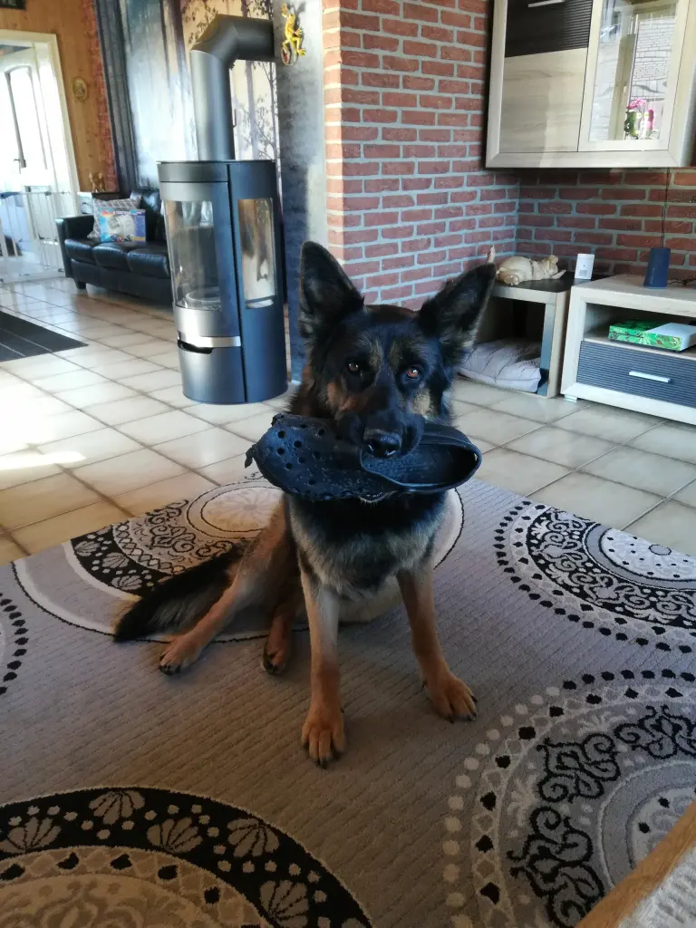 You knew shoes were the key to walkies