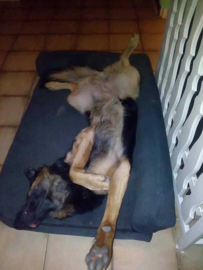 Relaxing