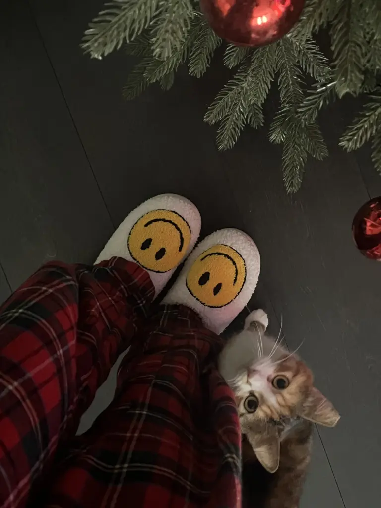 Unser 1.Weihnachten