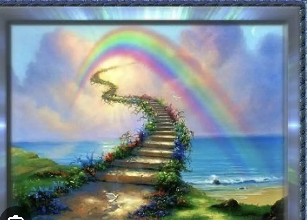 Condolence image of Petra Wolf