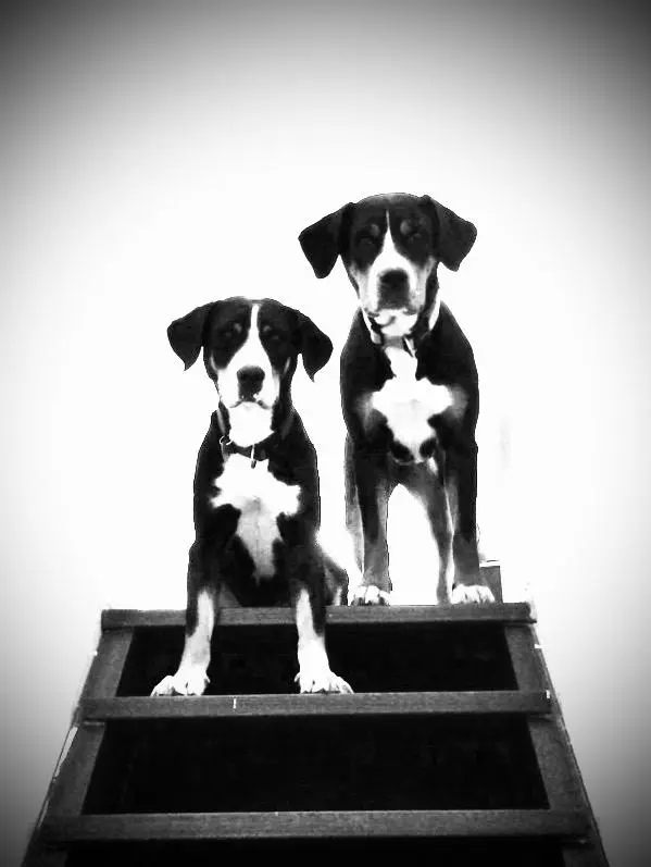 Kylie & Elfie