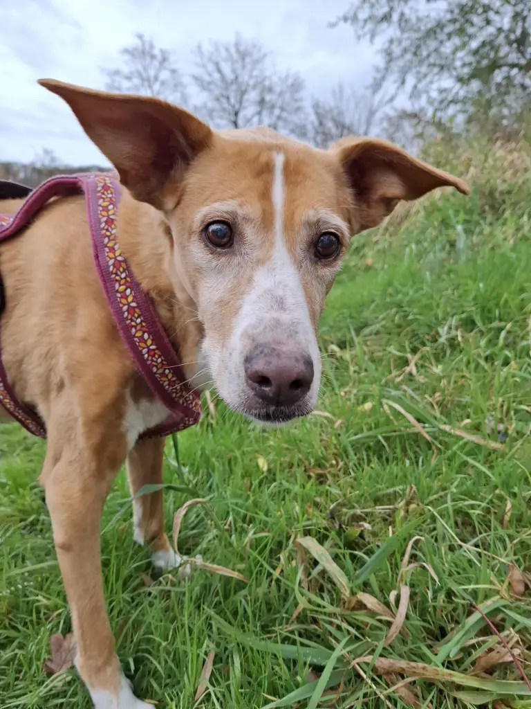 Bild von Rubi
