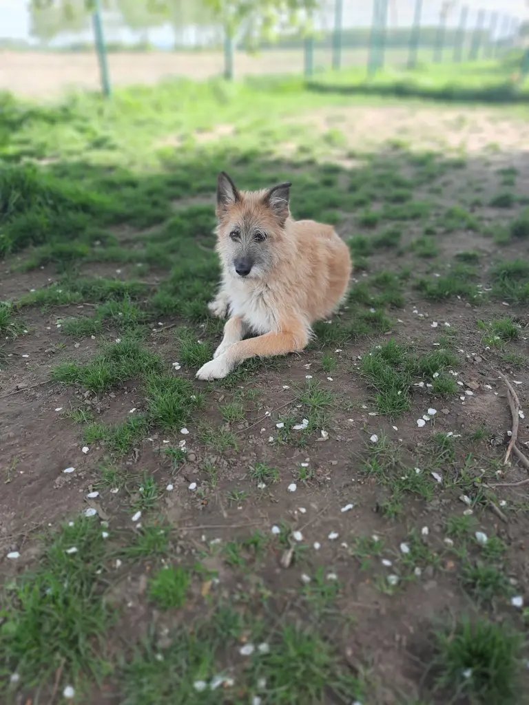 Bild von Tigger