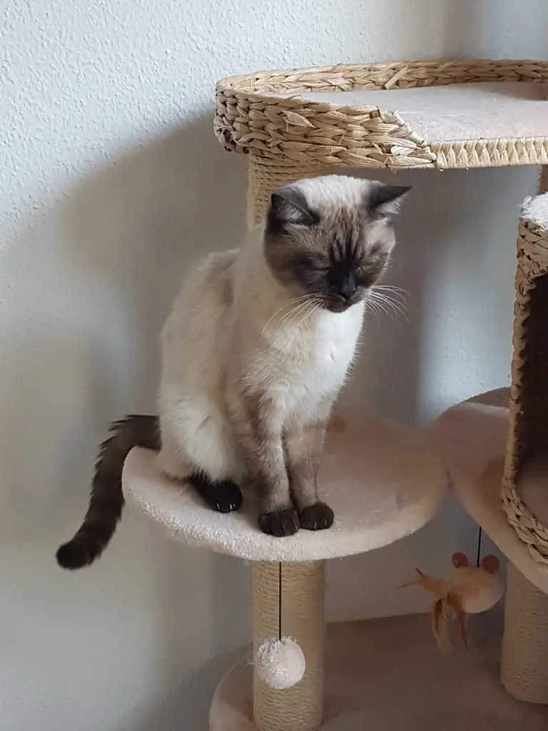 Bild von Quincy