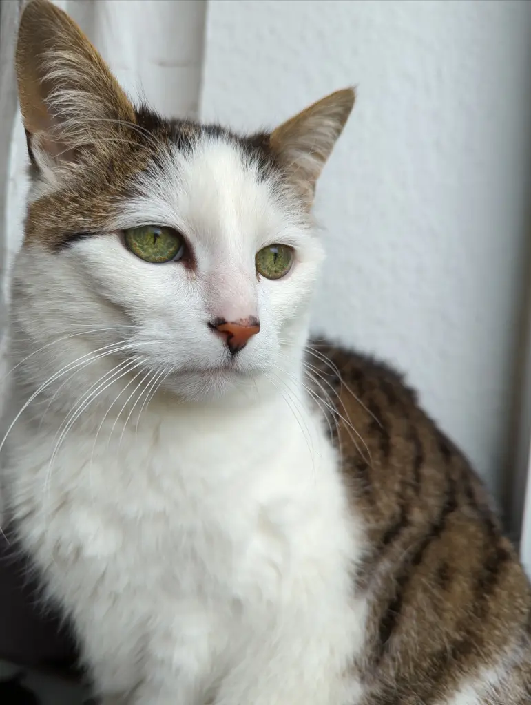 Bild von Susi