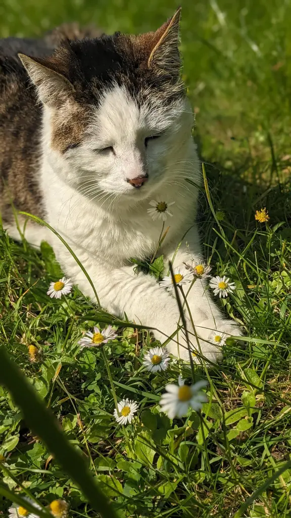 Bild von Susi