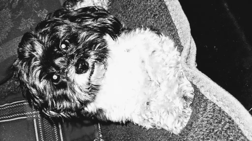 Condolence image of Sigrid