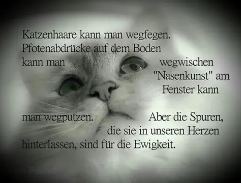 Condolence image of Susanne  Hagedorn 