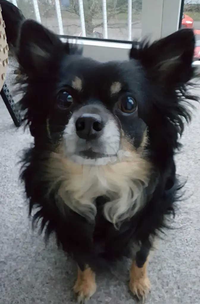 Bild von Marley