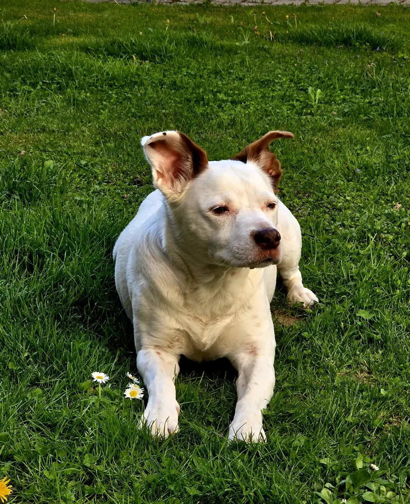 Bild von Bella