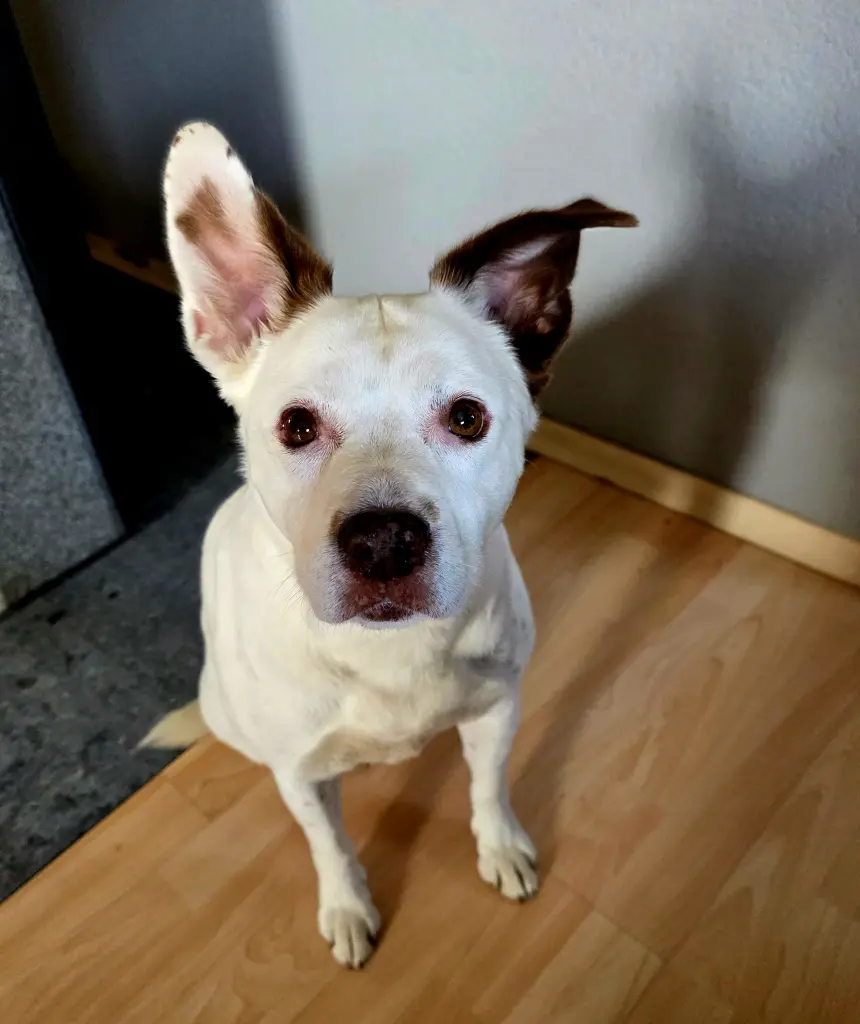 Bild von Bella