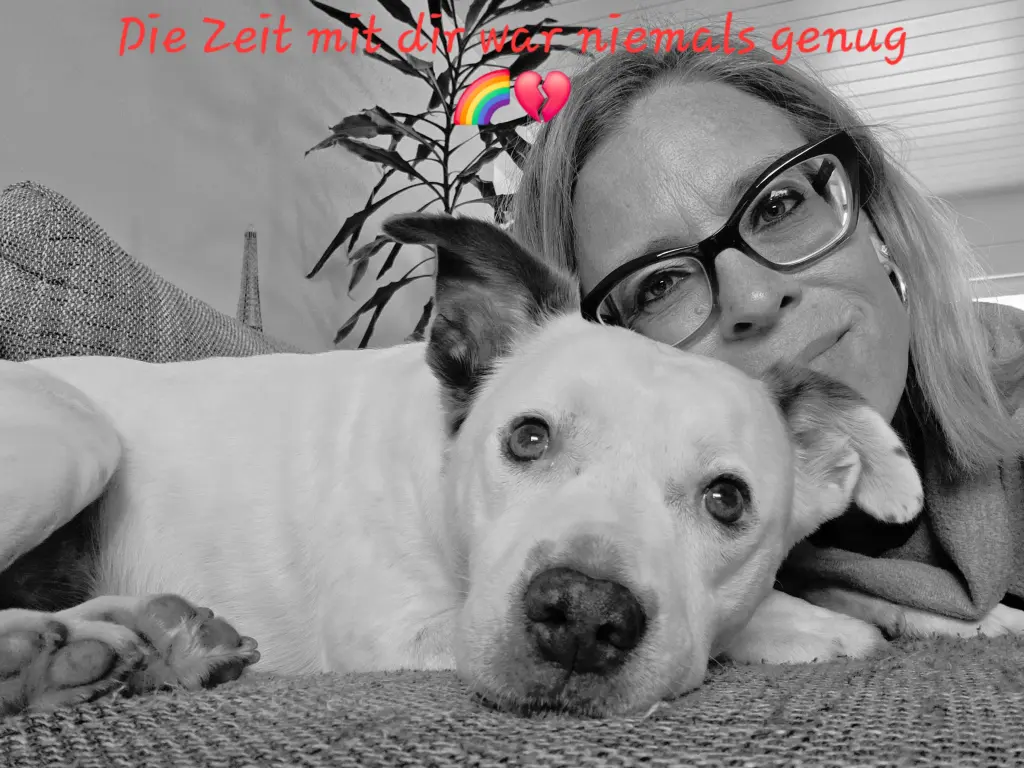 Bild von Bella