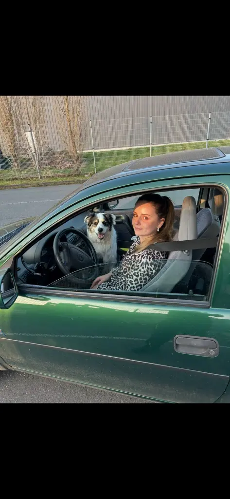 Lou und Kyara auf Tour zur Hundewiese. Der beste Beifahrer. Mein Loulipou