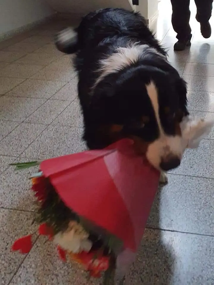 Sooo stolz