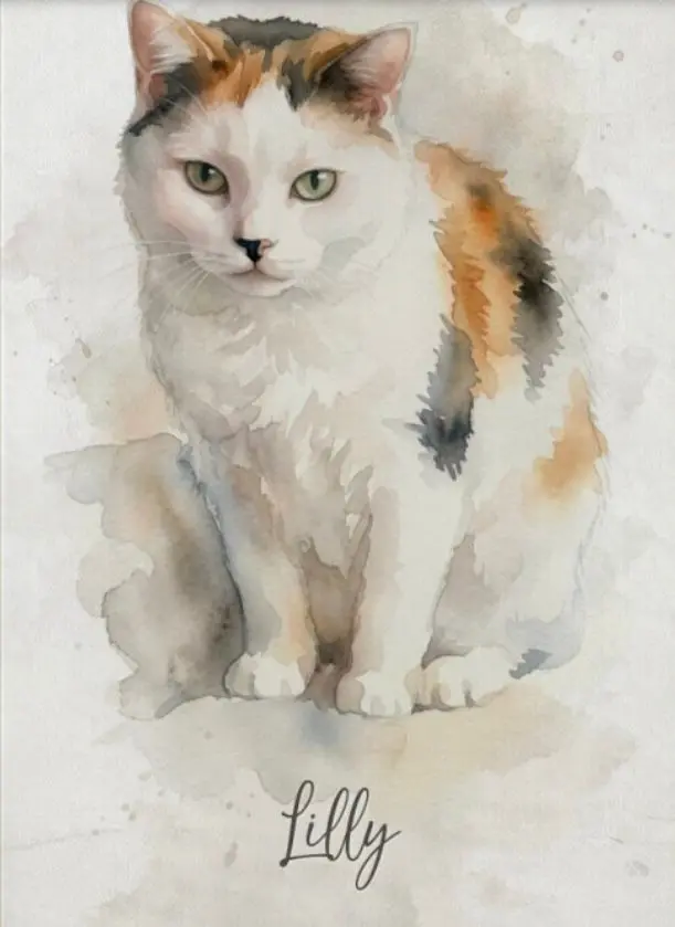 Image from Lilly