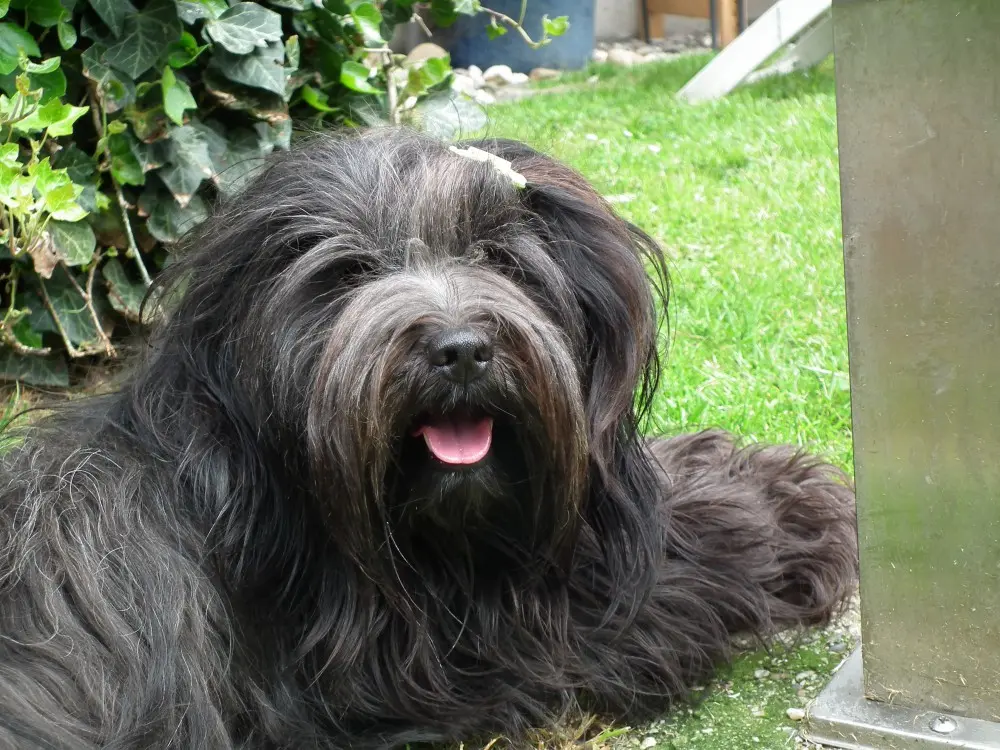 Bild von June Jamuna Lamleh