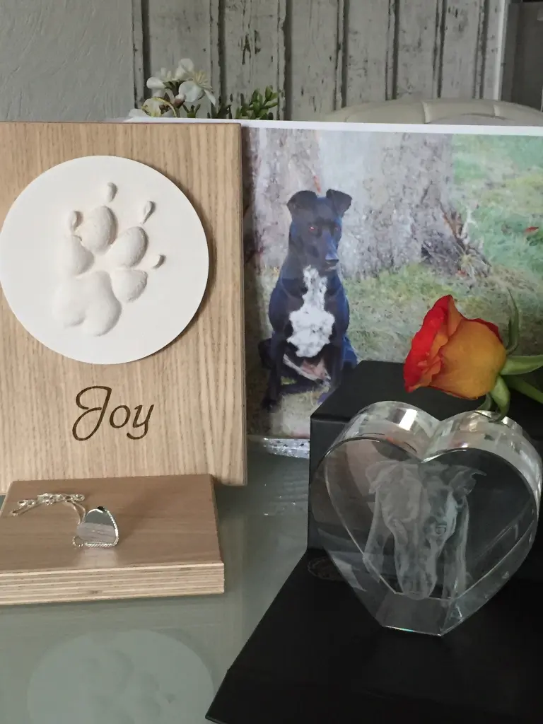 Image from Joy