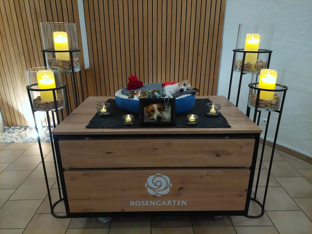 Image from Lucy Mäuschen