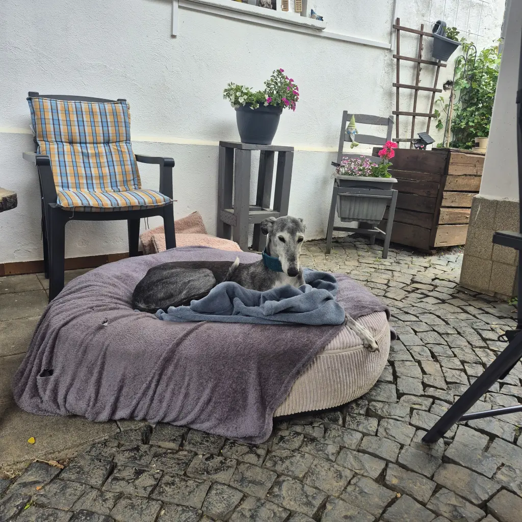 Bild von Blue