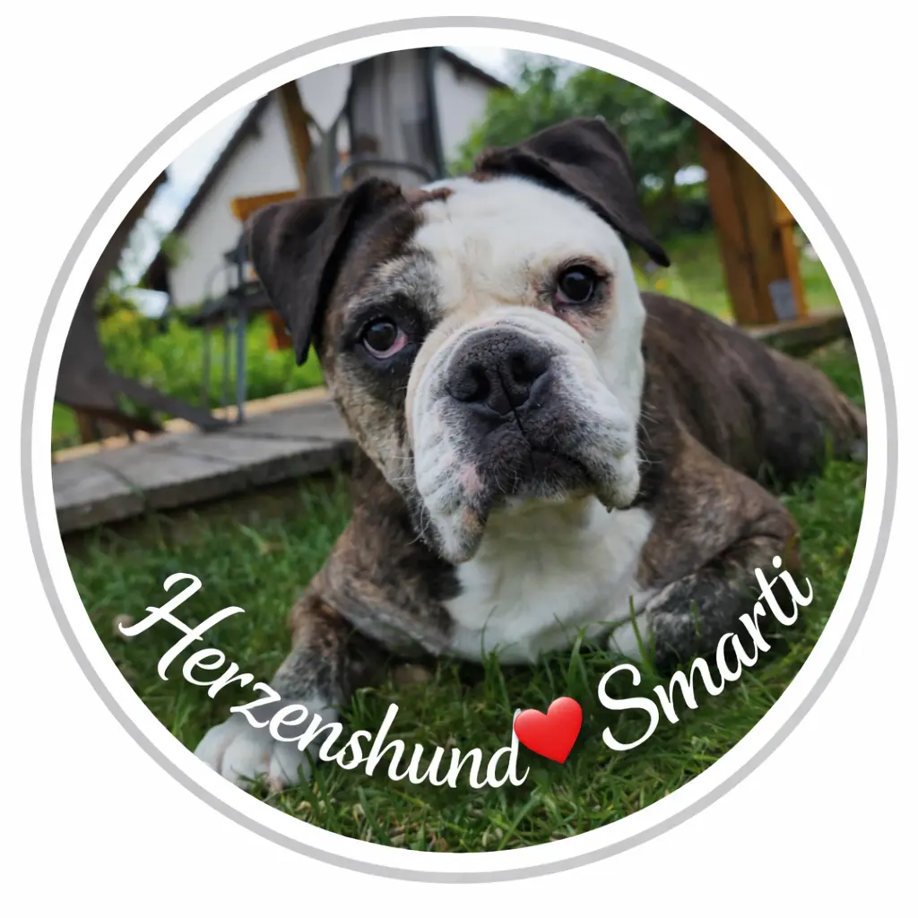 Herzens- und Seelenhund
