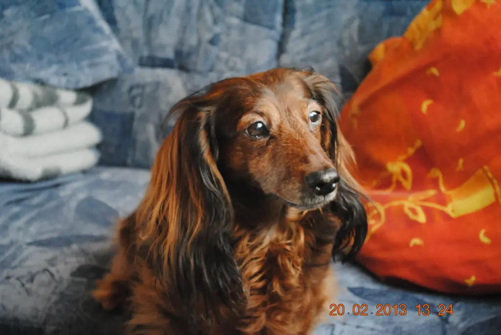 Condolence image of Unbekannt