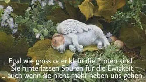 Condolence image of Elli