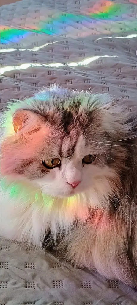 Bild von Charly