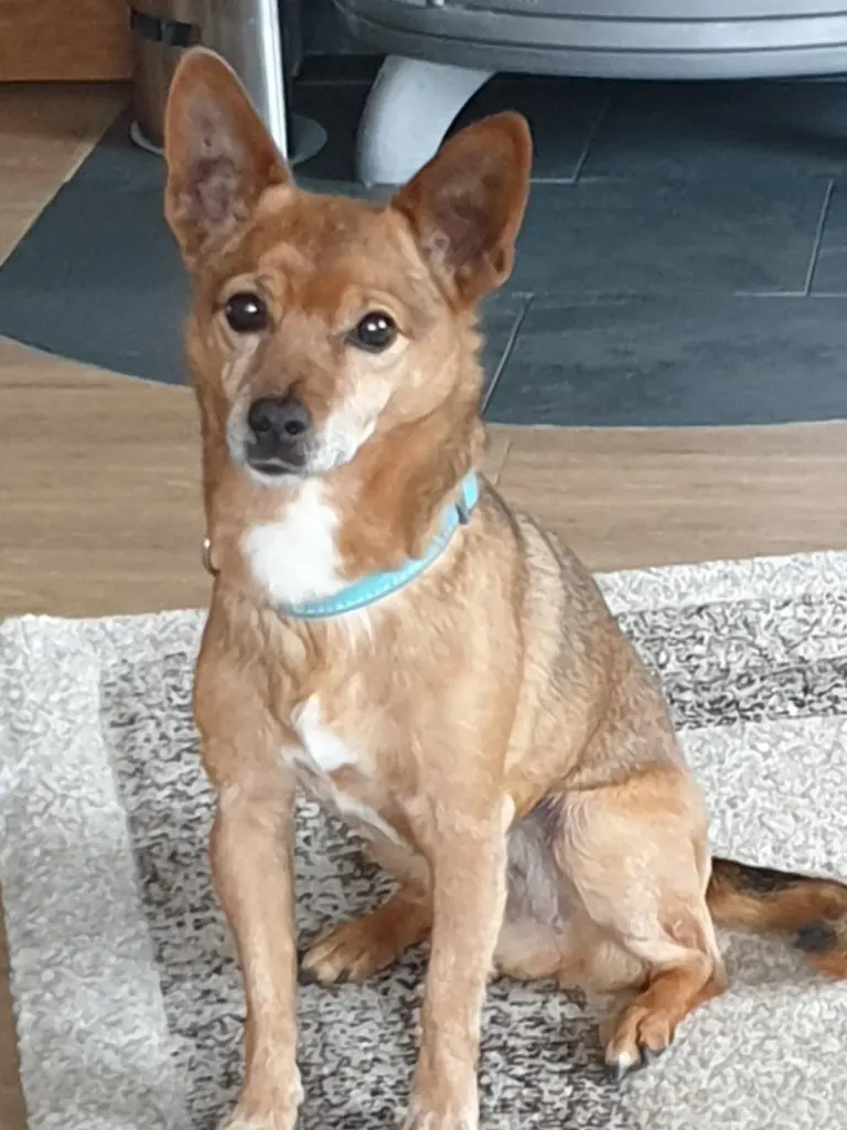 Bild von Tobi