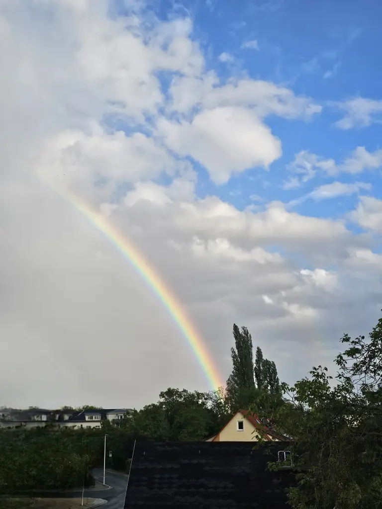 Deine Regenbogenbrücke