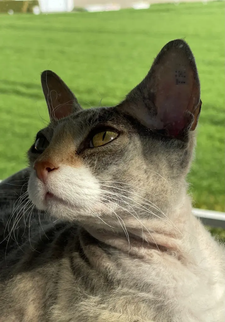 Condolence image of Lali  und Dirk