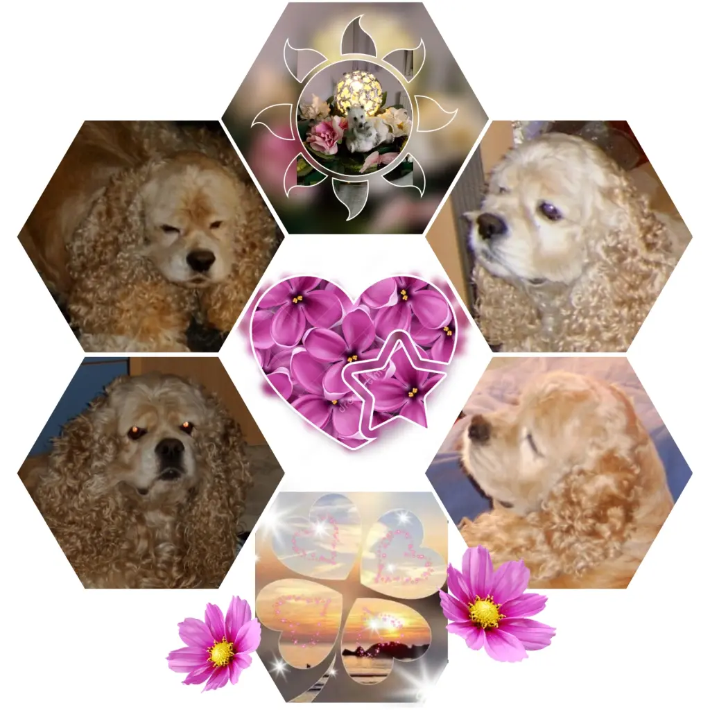 Condolence image of Rosen für Jana ❤️ mit liebevollen Gedanken