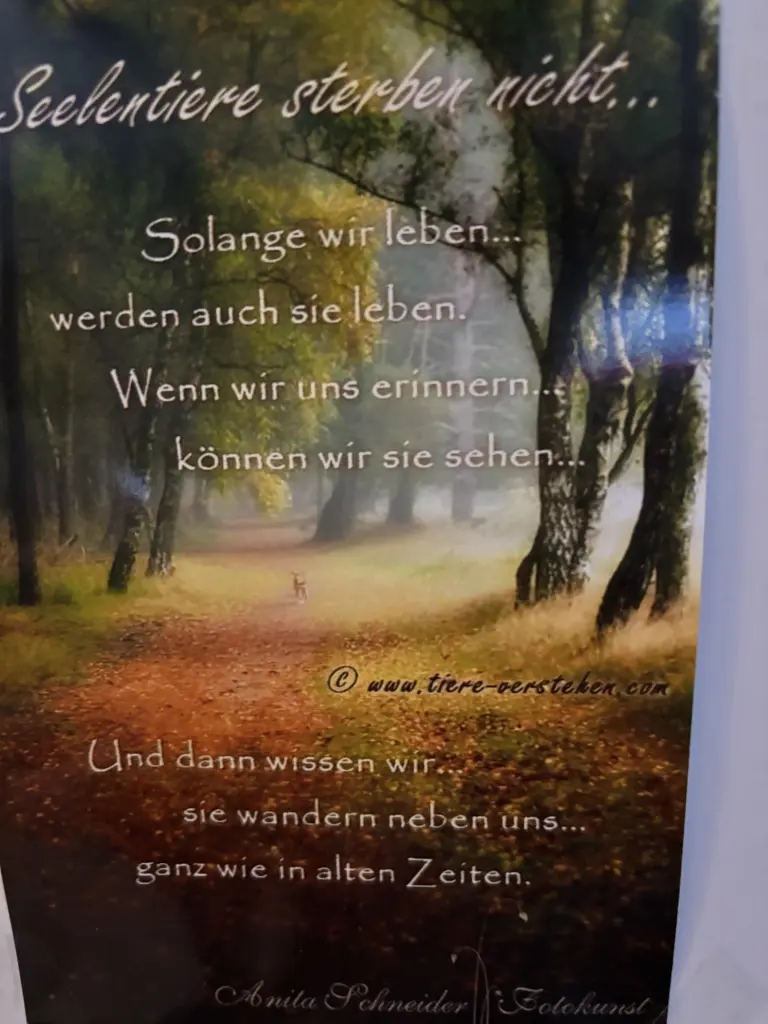 Bild von Charles