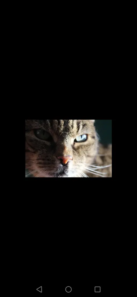 Image from Cassandra