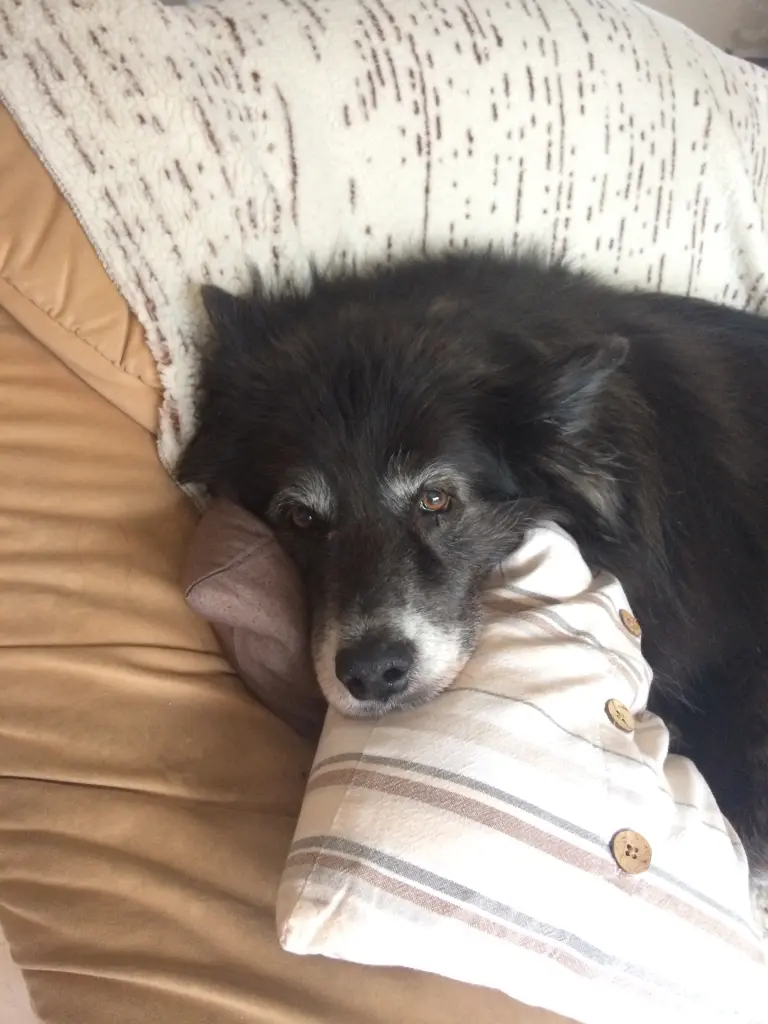 Condolence image of Nicole 