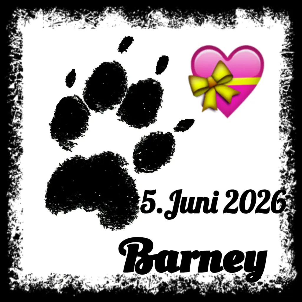 Image from Barney