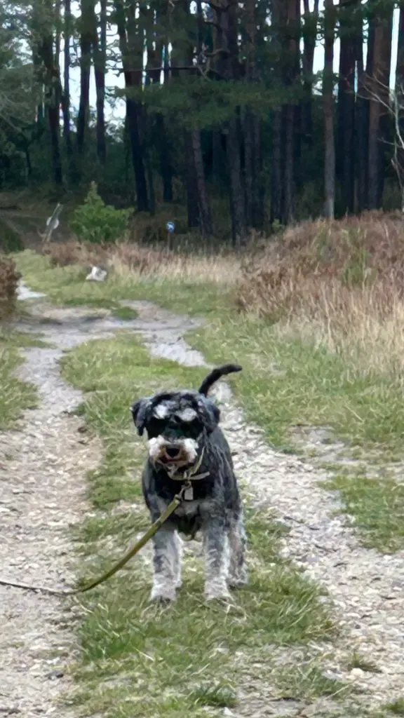 Bild von Filou