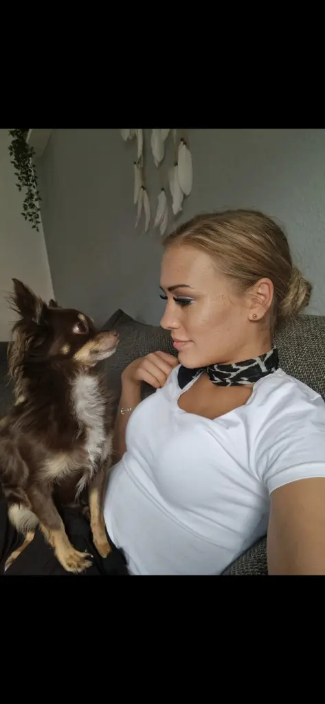 Image from Filou