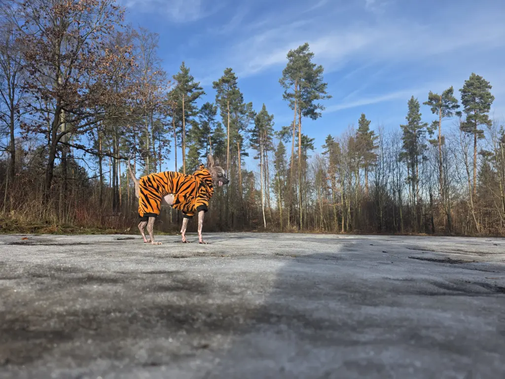 Andachtsbild von Christin Gatzsch