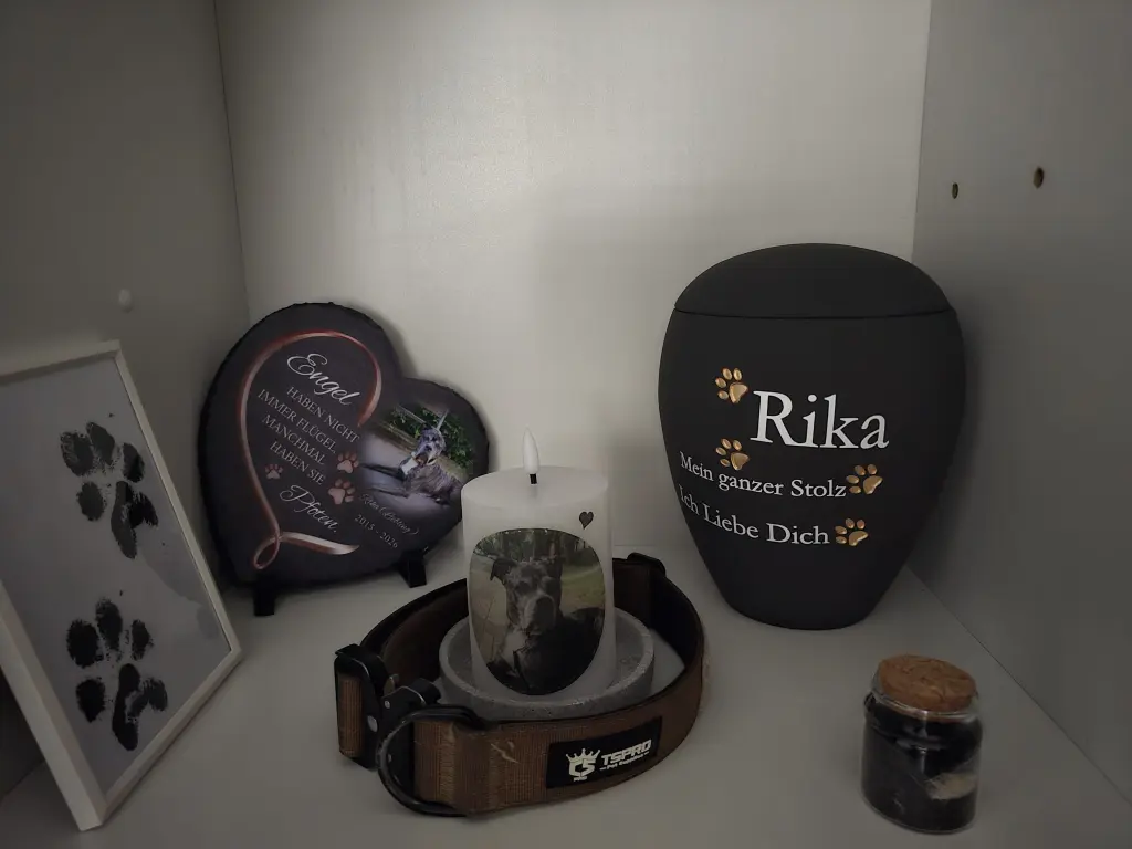 Image from Rika