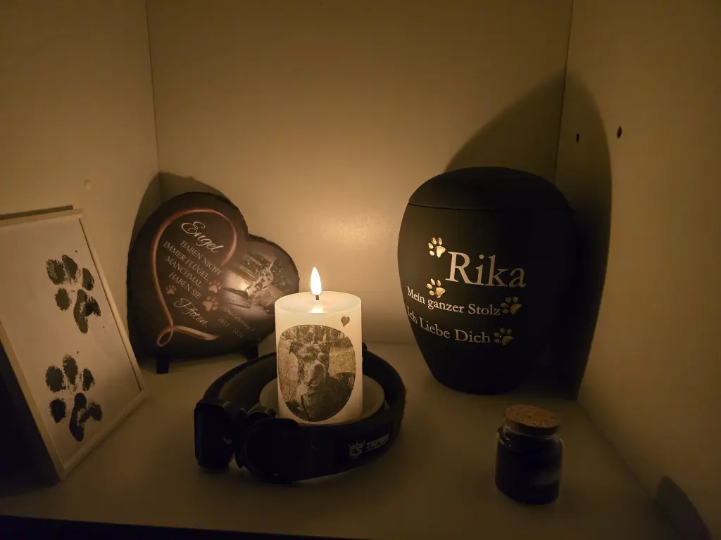 Image from Rika